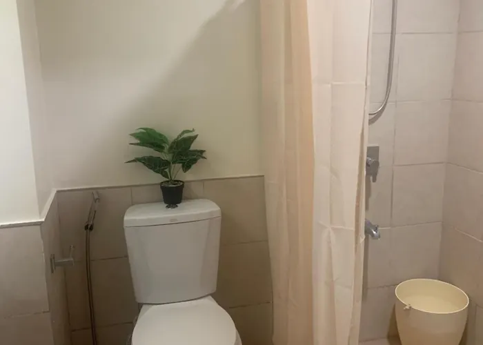 Persimmon Cebu